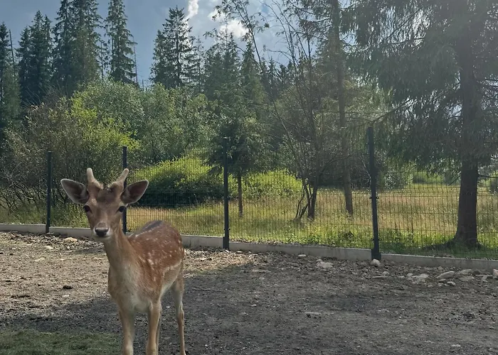 Forest Glamp & Jacuzzi Luxusní stan *