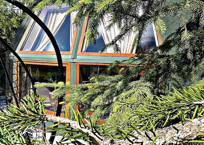 Forest Glamp & Jacuzzi Luxusní stan *